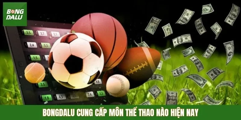 Bongdalu cung cấp môn thể thao nào hiện nay