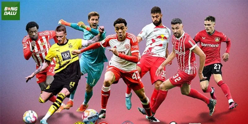 Thông tin về giải đấu