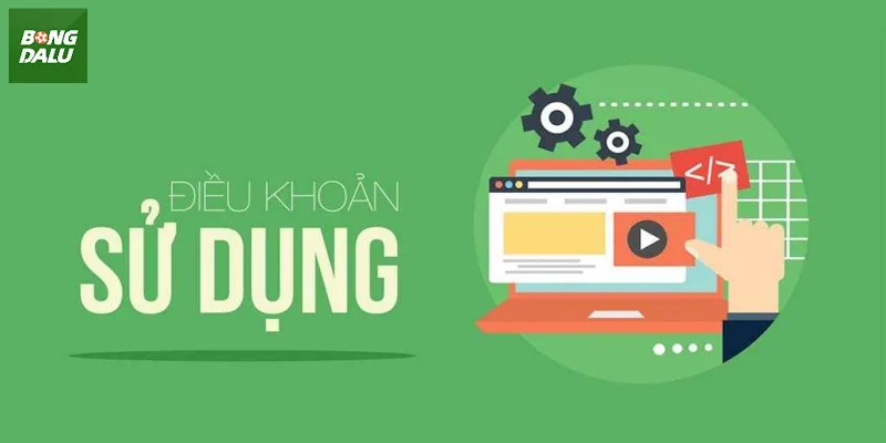 Trách nhiệm bảo vệ người dùng tại bongdalu